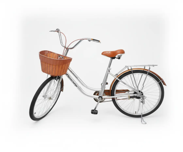 الدراجات الهوائية